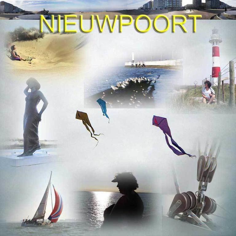 Ysermonde Fisherman's Cottage Nieuwpoort Rum bild